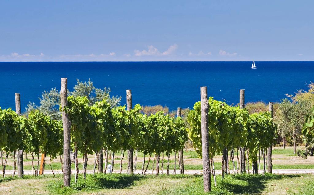 Mobile Homes Premium Vista Mare Park Umag By Camp4You Extérieur photo